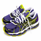 Asics gel nimbus 16 purple day