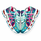 Asics Gel-Nimbus 16 Zyphera